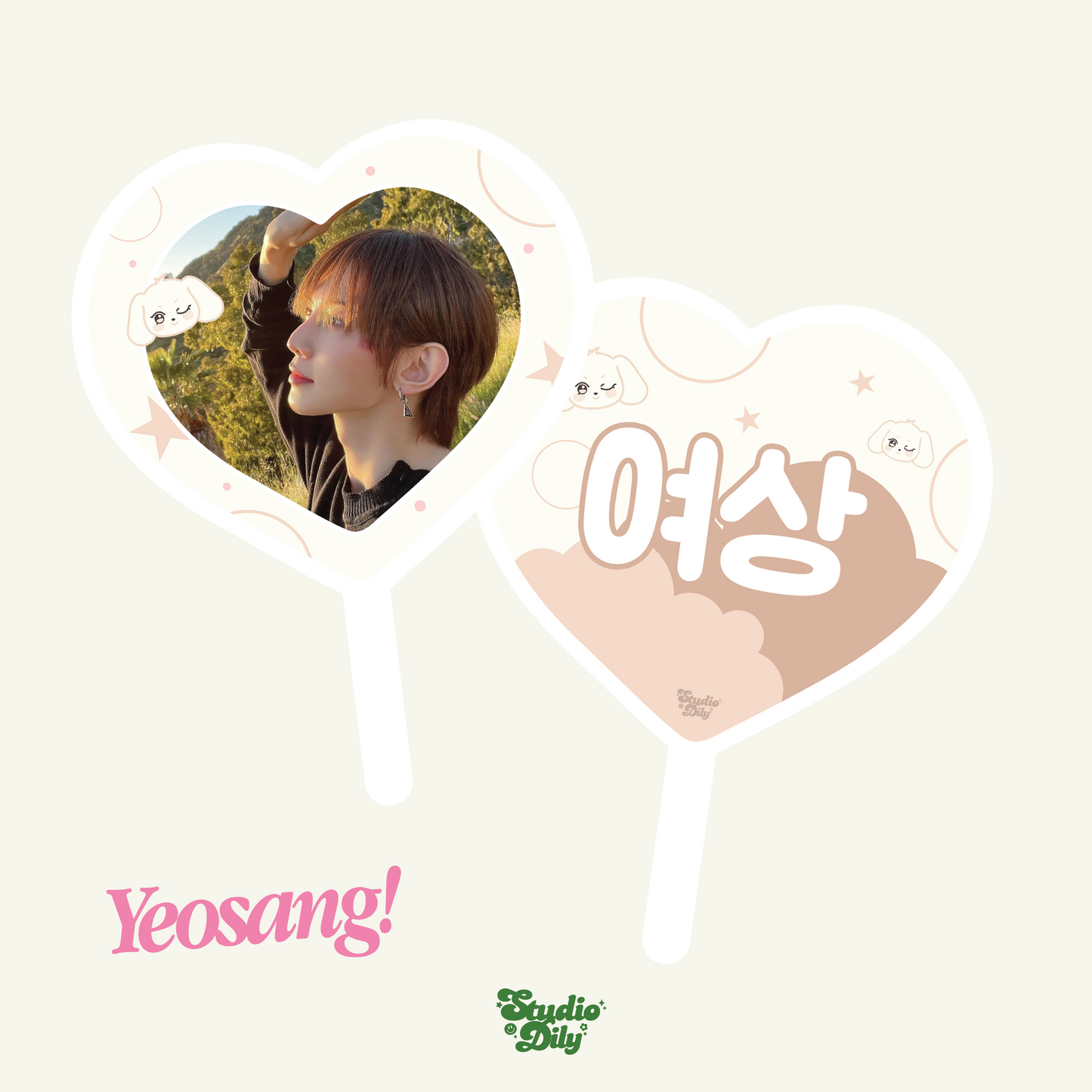 Ateez concert pickets v2.