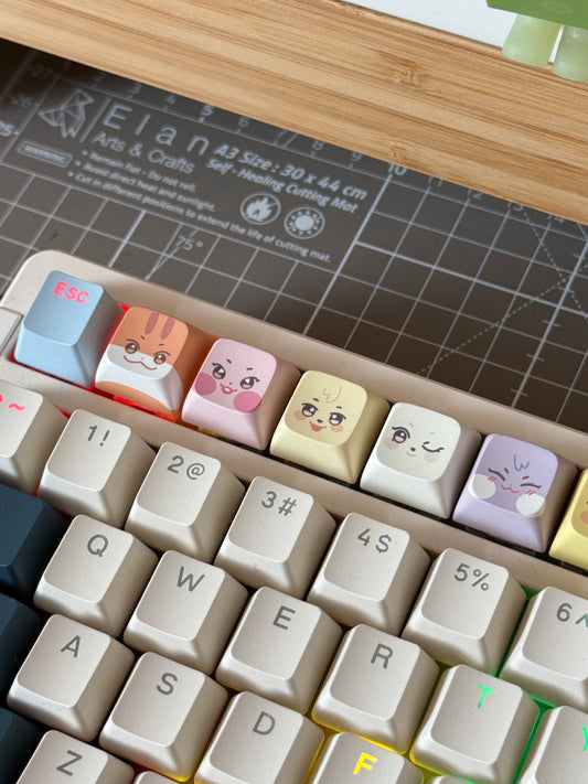 Aniteez keycaps